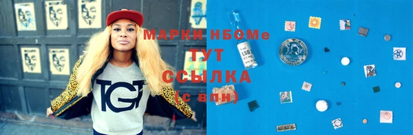 стаф Алзамай