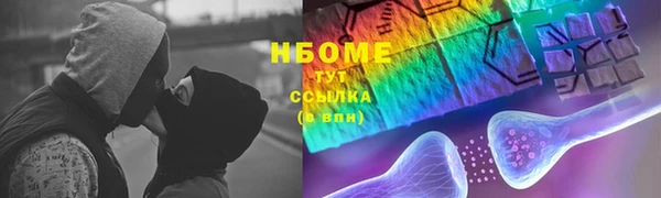 стаф Алзамай