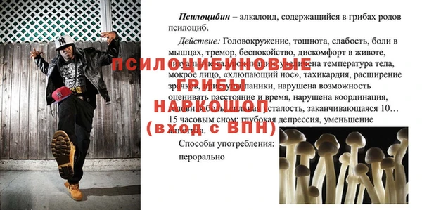 стаф Алзамай