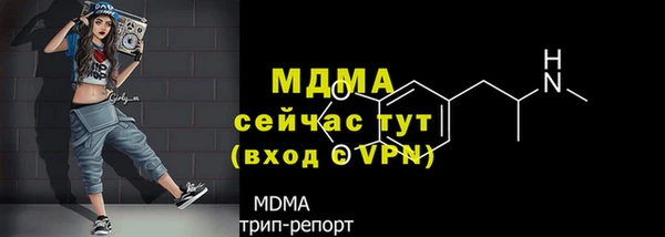 стаф Алзамай