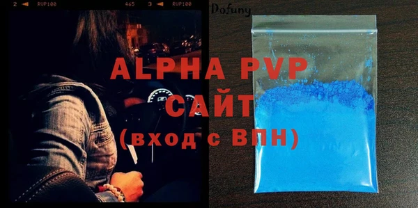 стаф Алзамай